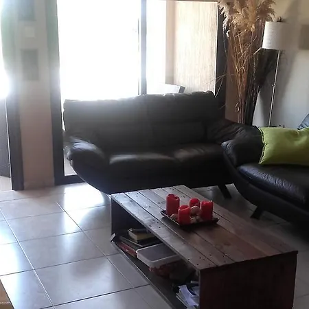 Vines 5 פיסורי